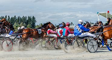 hrnz fields|Race Programmes & Dates .